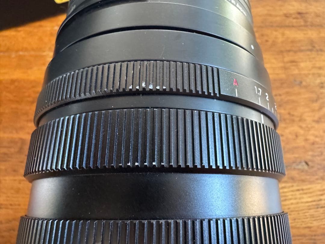 VARIO-SUMMILUX 10-25mm F1.7＋オマケ