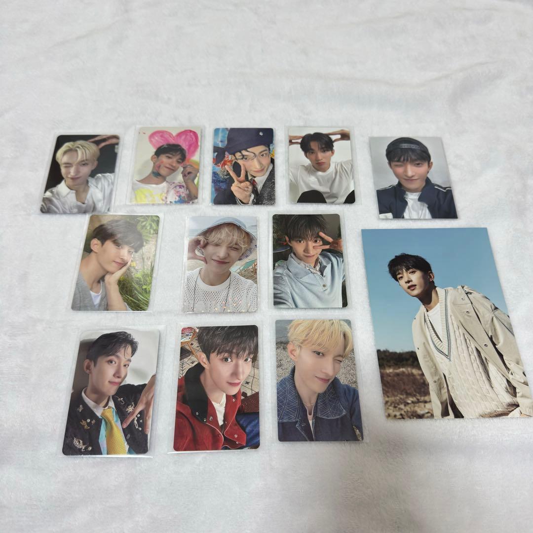 SEVENTEEN セブチ SVT • DK ドキョム