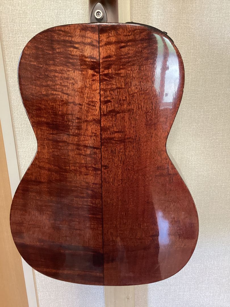 希少！パーラーサイズ エレアコ ハワイアンコア材 タカミネアコースティックギター