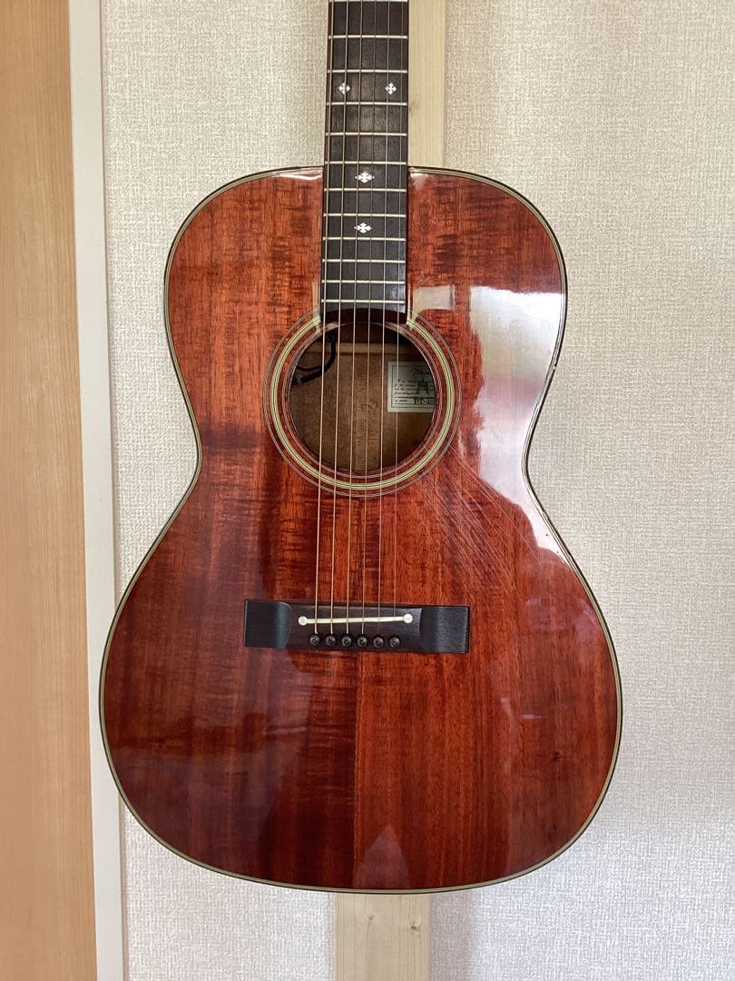 希少！パーラーサイズ エレアコ ハワイアンコア材 タカミネアコースティックギター