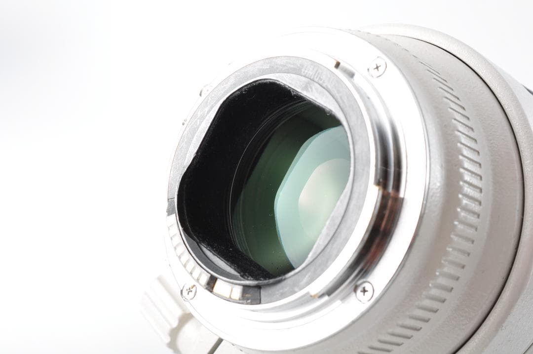 CANON キヤノン EF 70-200mm F2.8 φ77 #1154