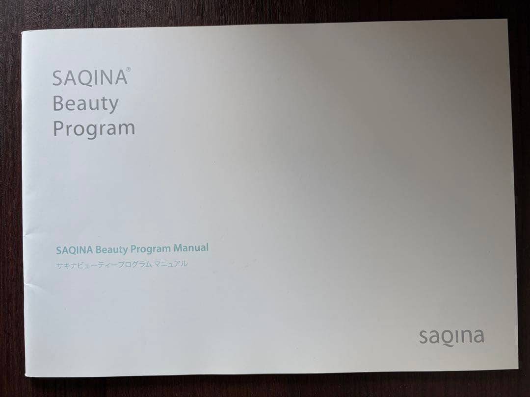 サキナピノsaqinapinoスチーマー クリーナー テスラー