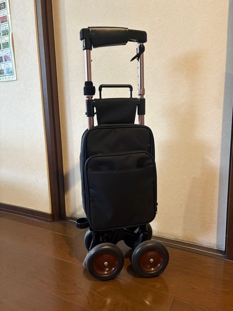 象印ベビー ショッピングカー キャリーステッキ ライト 168 ブラック