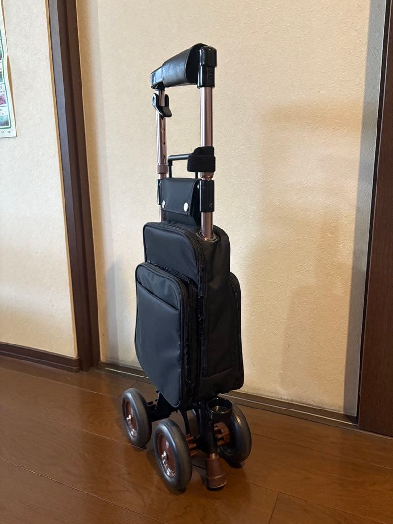 象印ベビー ショッピングカー キャリーステッキ ライト 168 ブラック