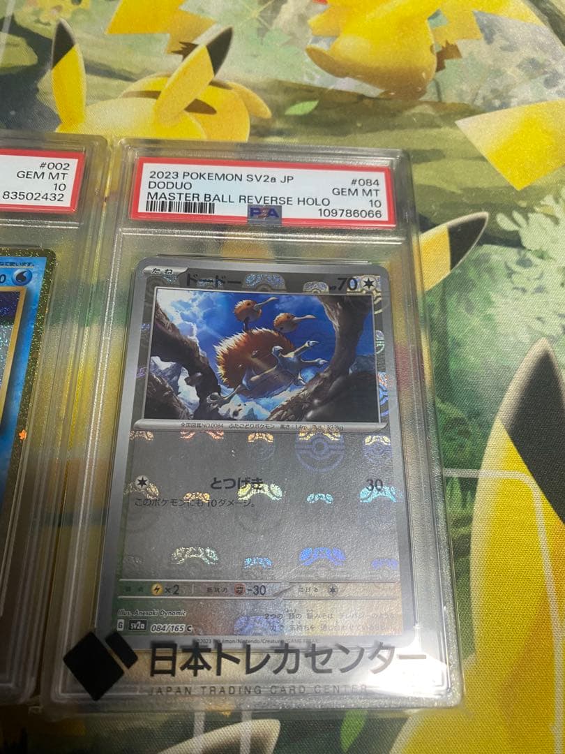 ス*ド様 ポケモンカード カメル ドードーセット　psa10