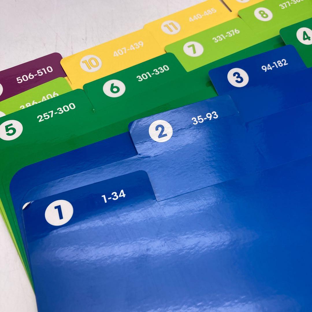 最新　トークアロング　プレイメイトエアー 　ディズニー英語システム　703904