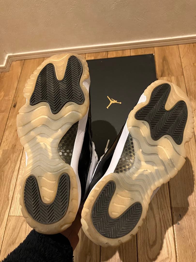 エアジョーダン11 レトロ　グラティチュード