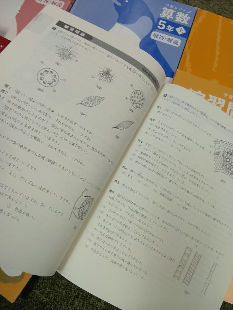状態良　書き込み解答ほぼ無　四谷大塚5年　国算理社/上　中古2023年使用