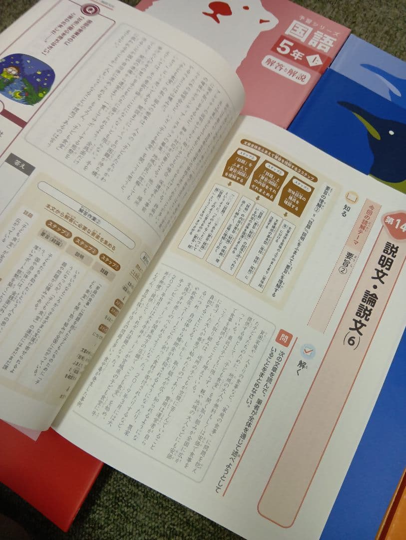 状態良　書き込み解答ほぼ無　四谷大塚5年　国算理社/上　中古2023年使用