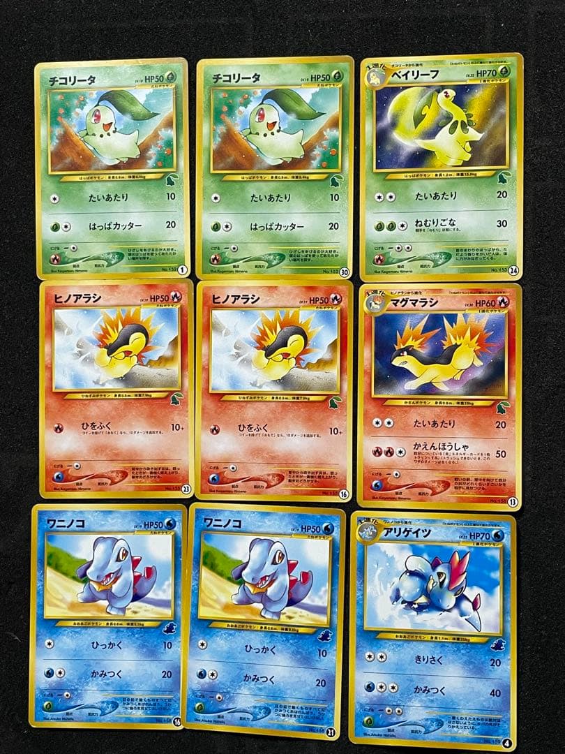 ポケモンカード 旧裏 イントロパック ワニノコ チコリータ 全80枚セット