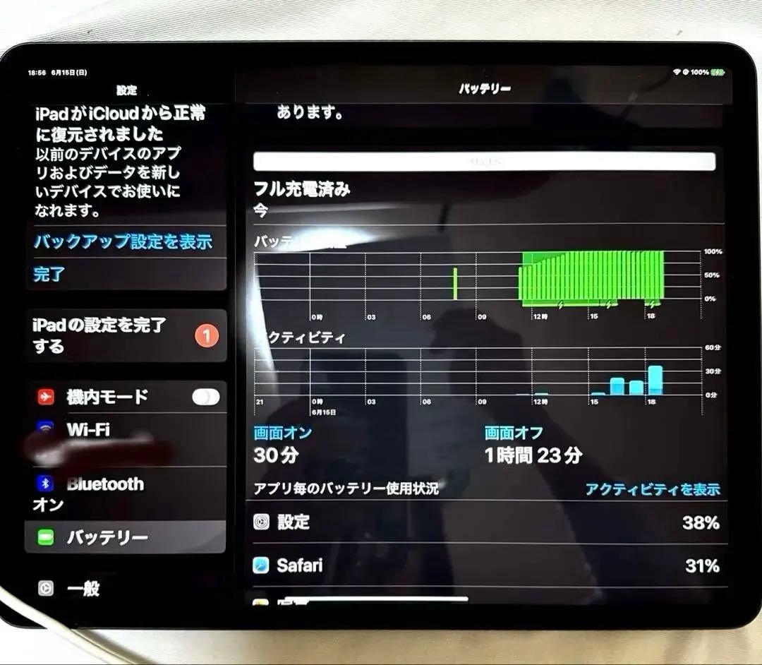 i pad pro 12.9 第3世代512GB専用カバーA1876付き