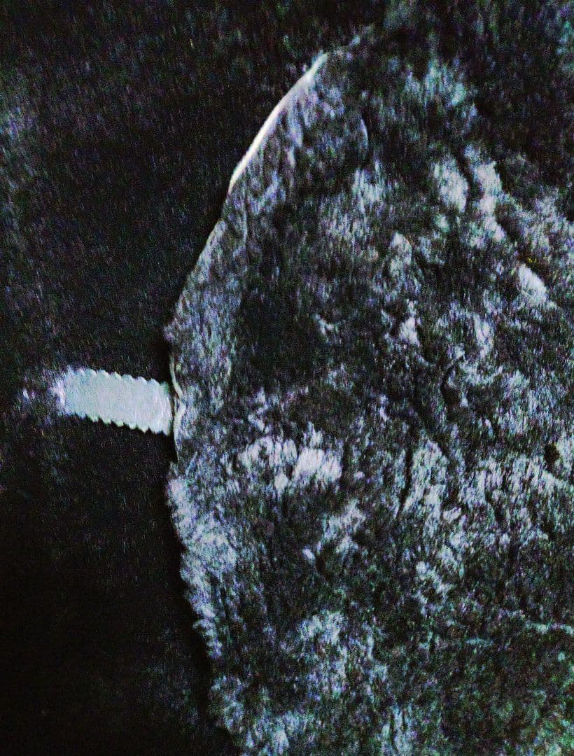 ✨今日だけ価格✨✰ALPHA✰Ｂ3リアルムートン✨USED美品✨