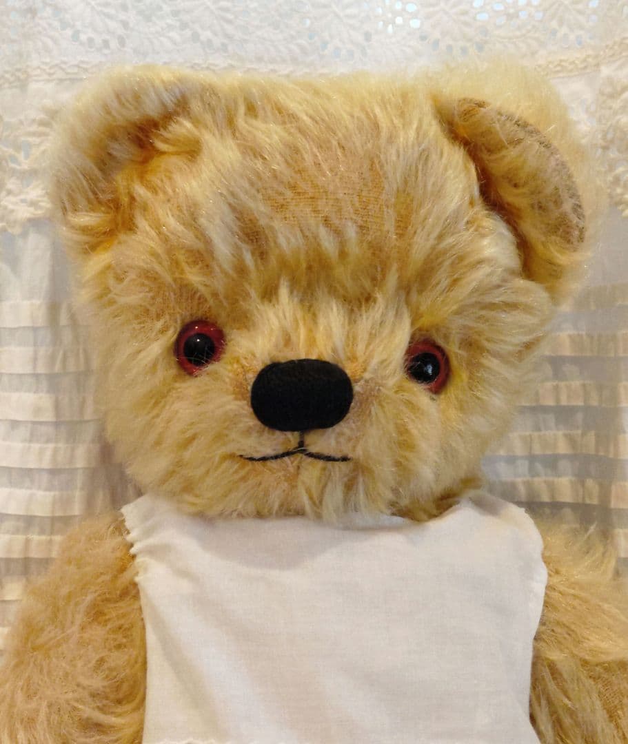 期間限定価格　チャドバレーベア 約37cm