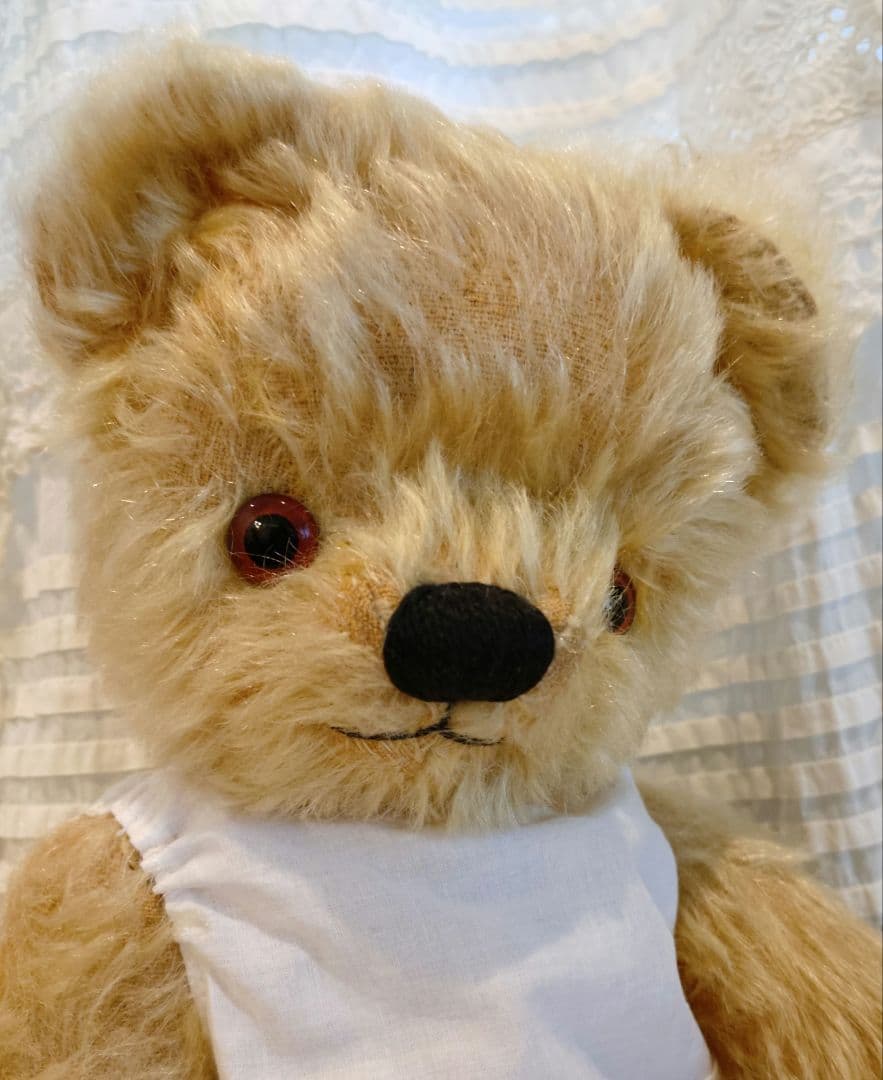 期間限定価格　チャドバレーベア 約37cm