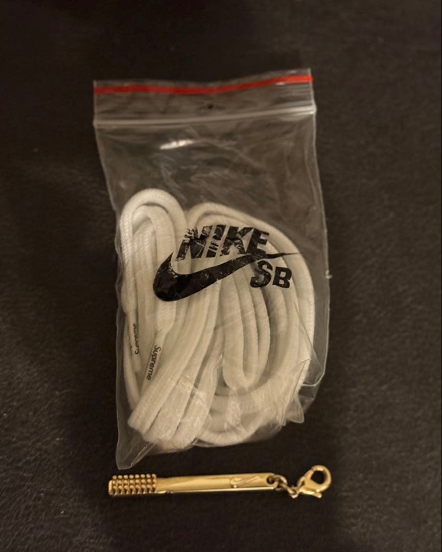 【完全新品未着用】NIKE SB × supreme/SB GATO QS