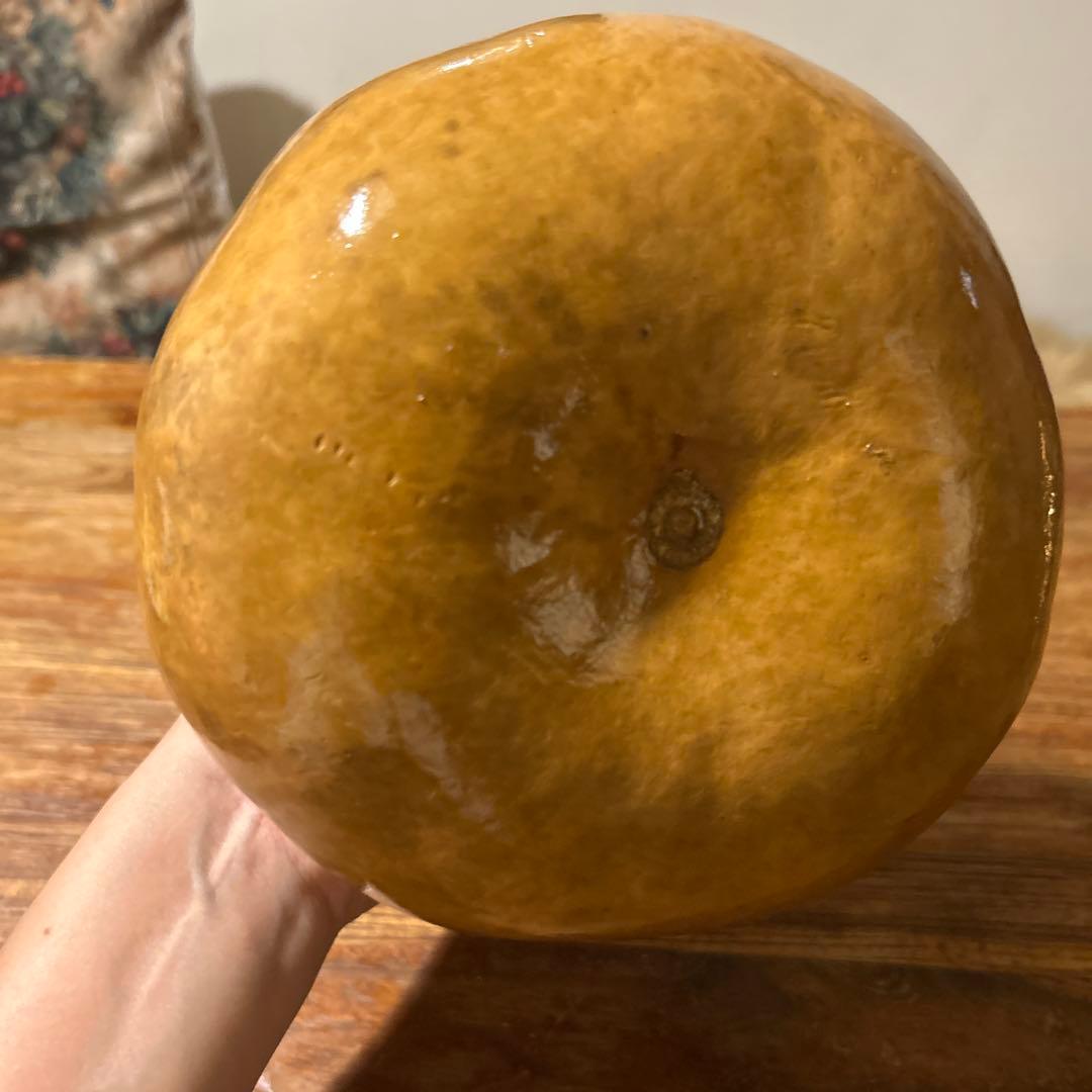 【最終価格】フラダンス　楽器イプ