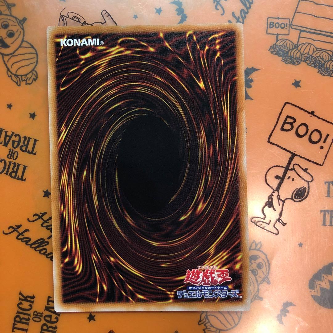 凍てし心が映す神影　プリズマ　レウシャドールフュージョン