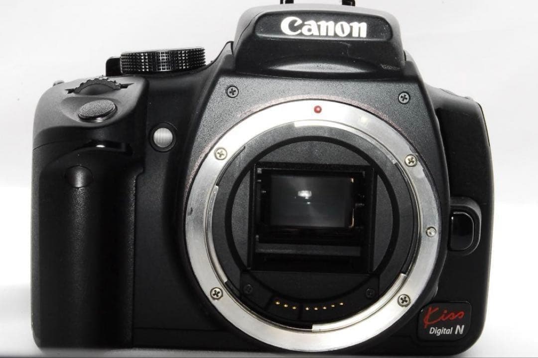 Canon Kiss Digital N望遠ズーム　初心者向け