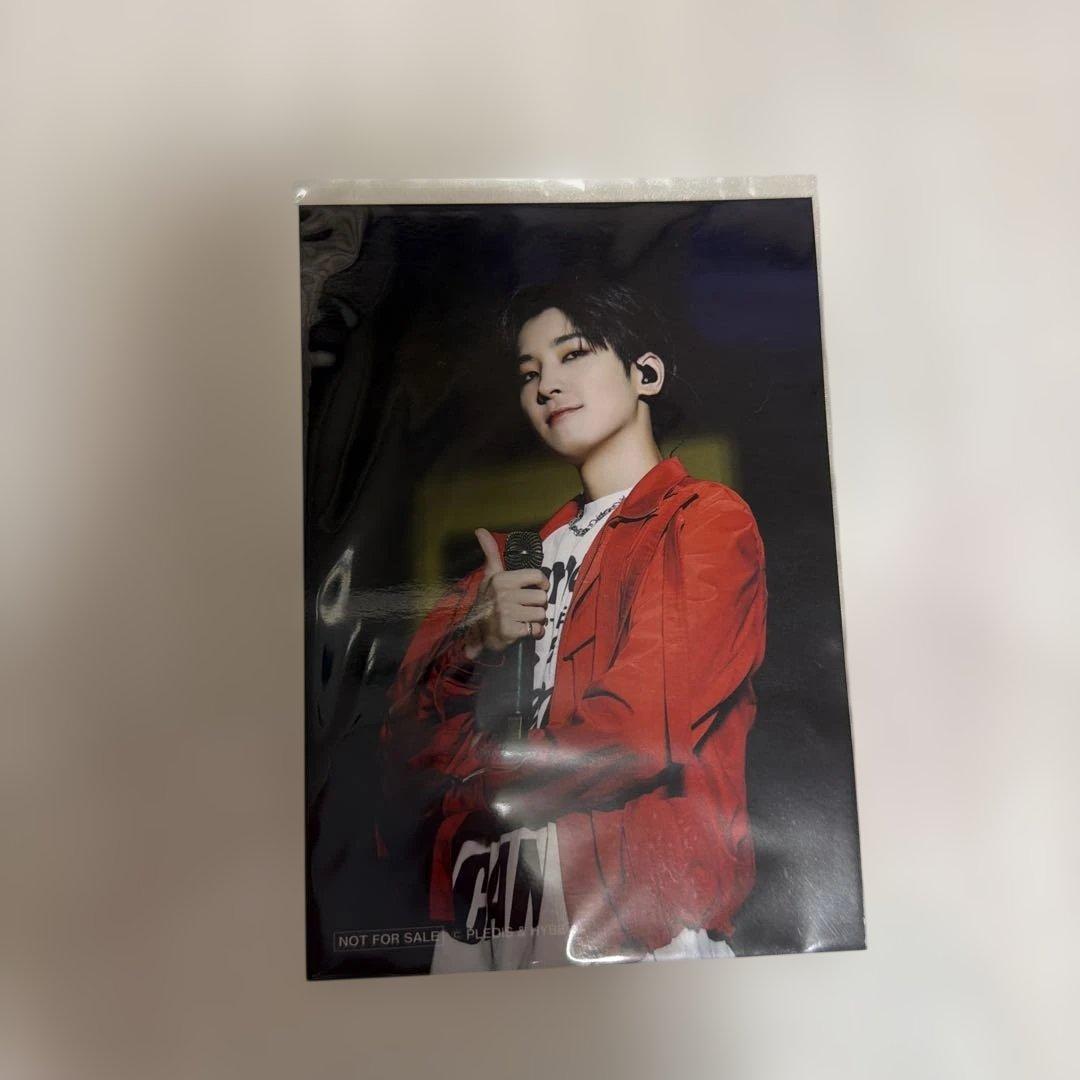 SEVENTEEN ウォヌ BEtheSUN エキシビション 先着入場特典