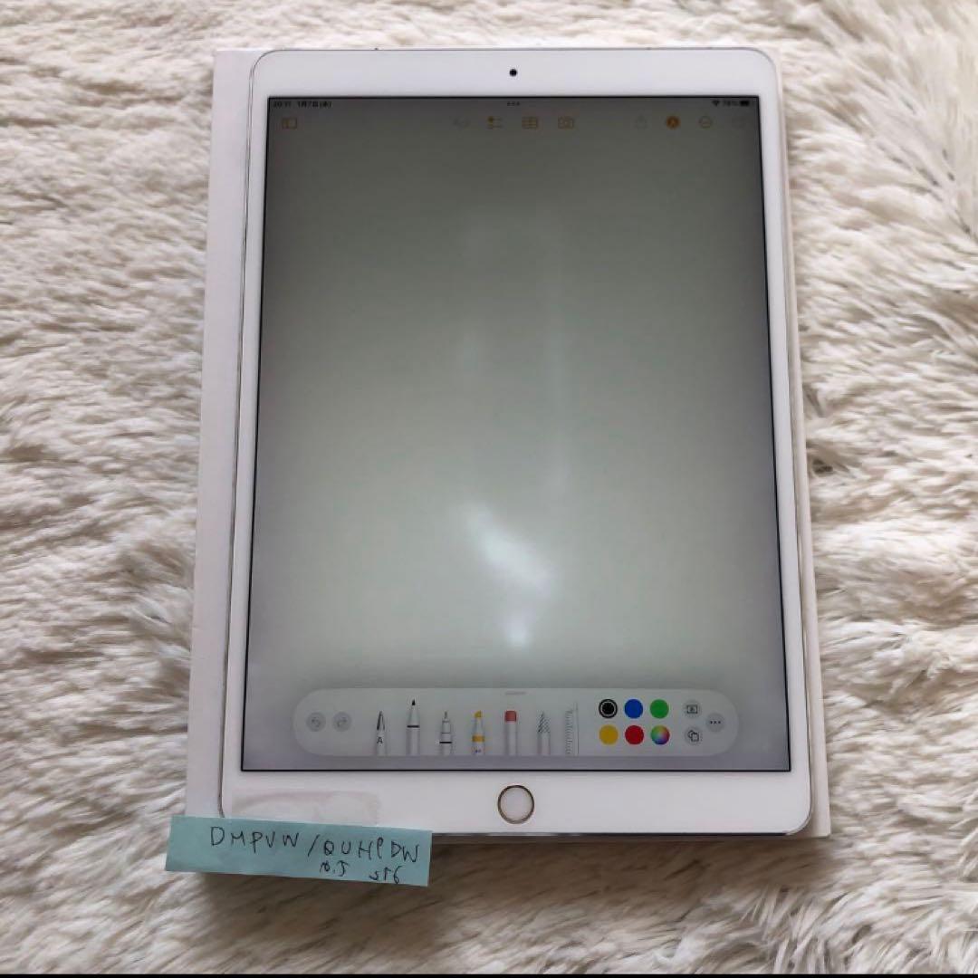 【完動品】iPad Pro 10.5 256GB SIMフリー【付属品】