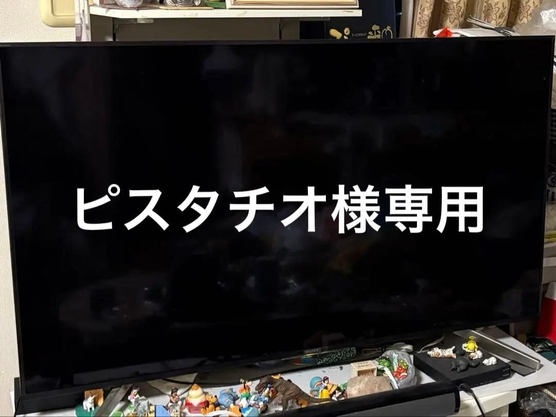 ピスタチオ　SONY BRAVIA 4K 55型　TV