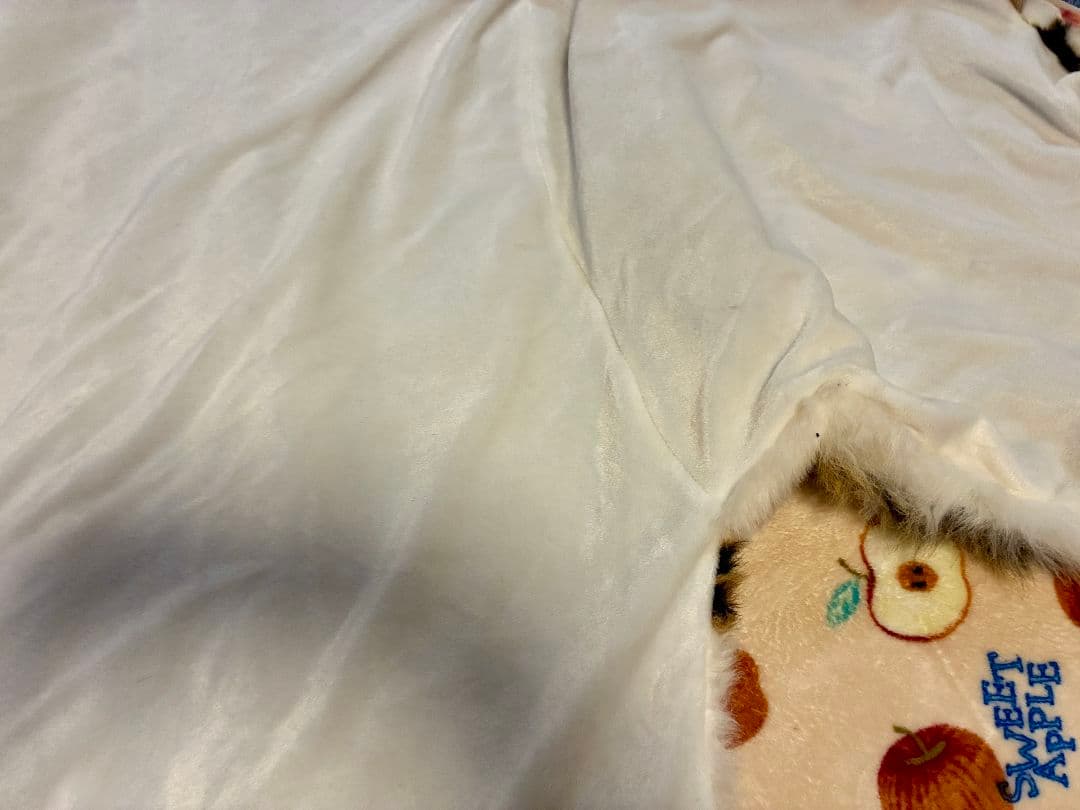 虎　トラ　タイガーマット　フロアマット　敷物　カーペット　絨毯　匿名配送