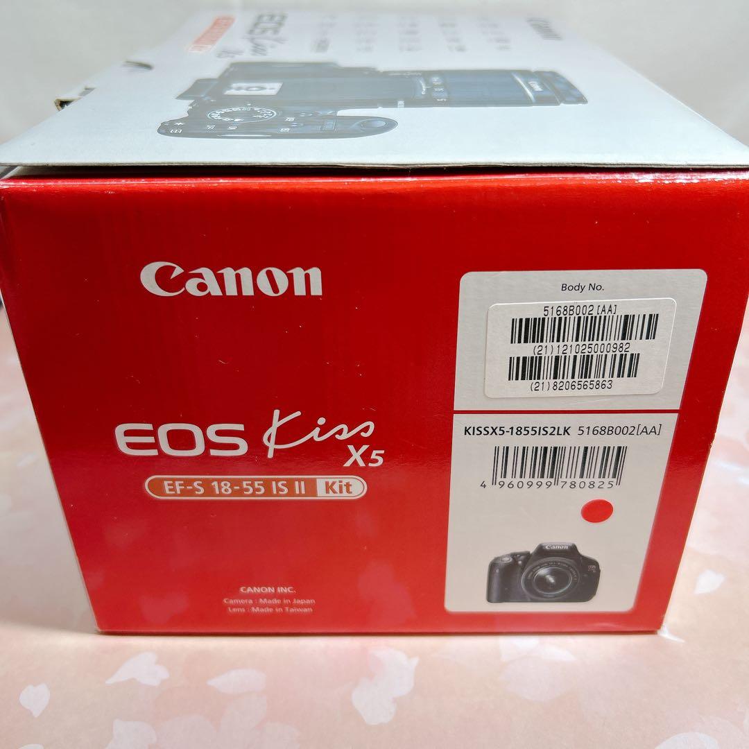 Canon EOS Kiss X5 レンズ2本セット 取説 キャノン 一眼レフ