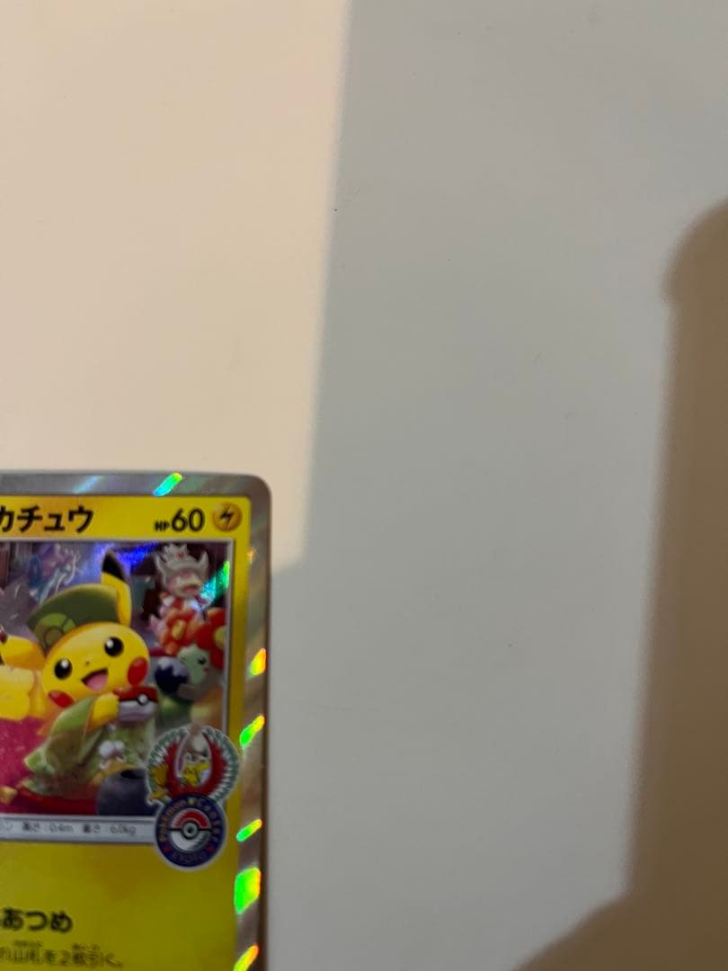 OKI様用　お茶会ごっこピカチュウ