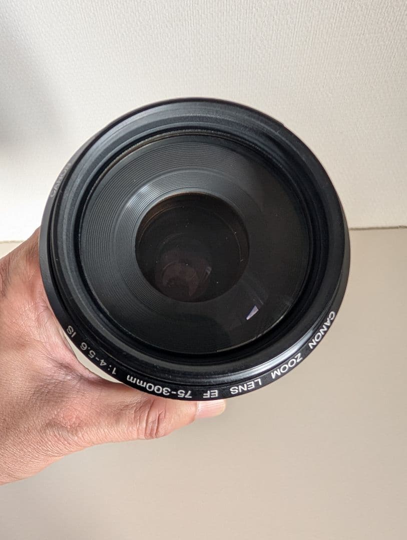 レンズ(ズーム) Canon EF 75-300mm f/4-5.6 IS USM