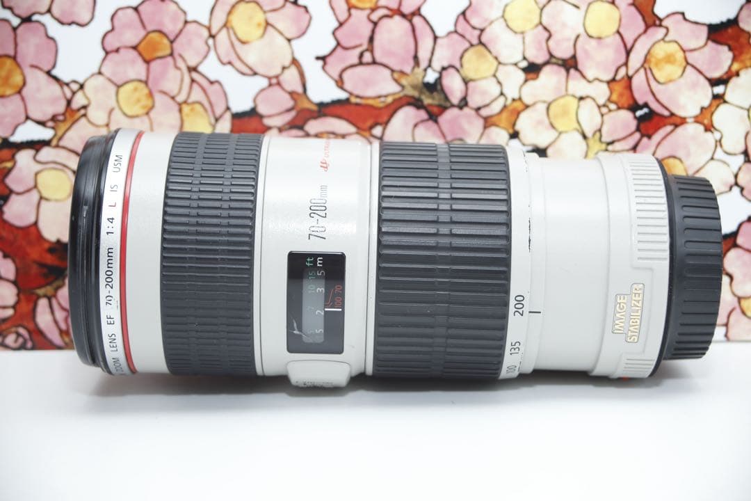 ❤️憧れの白レンズ❤️キヤノン EF 70-200mm f4L IS USM❤️