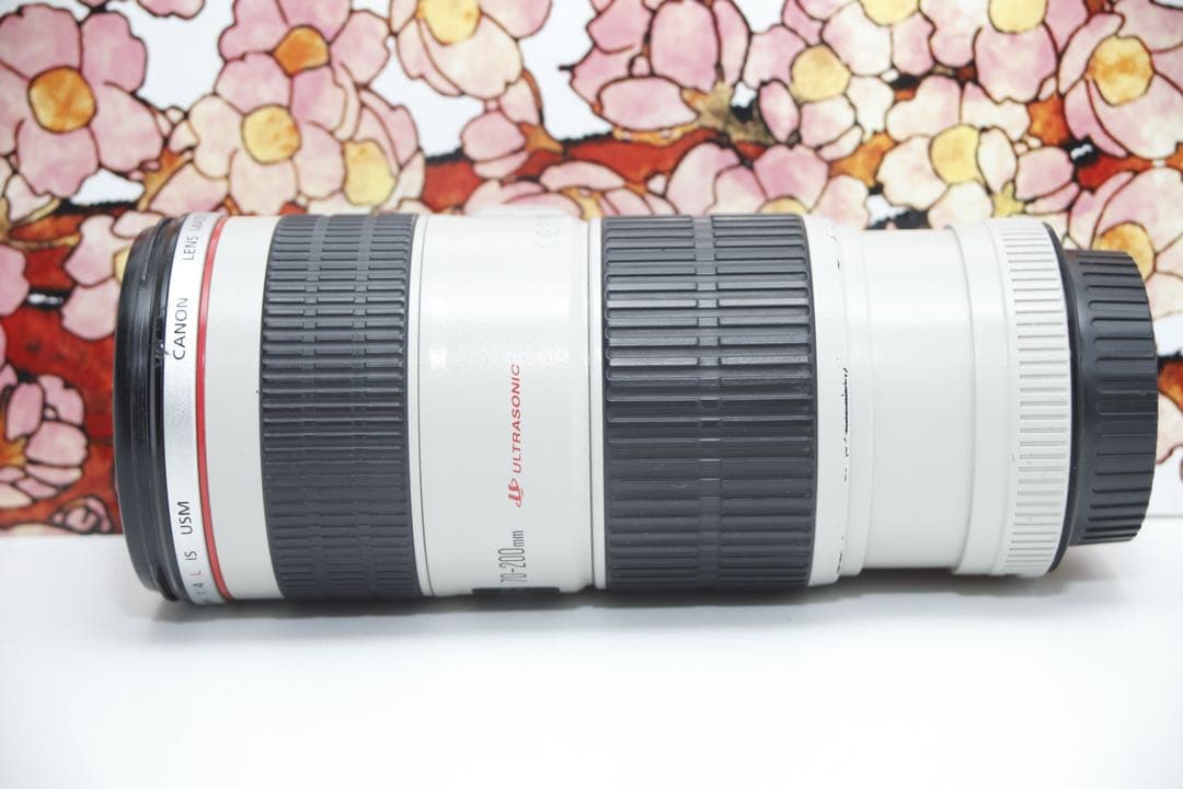 ❤️憧れの白レンズ❤️キヤノン EF 70-200mm f4L IS USM❤️