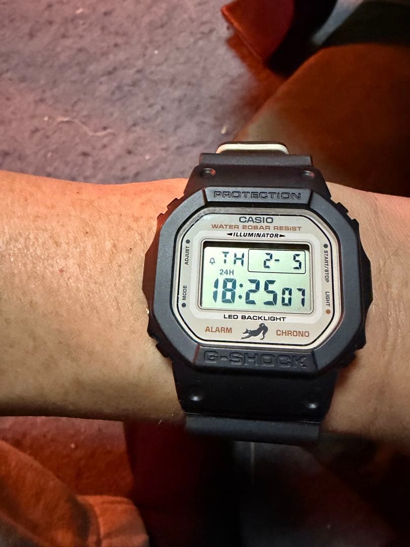CASIO G-SHOCK DW-5600SHB-1JR 柴犬モデル