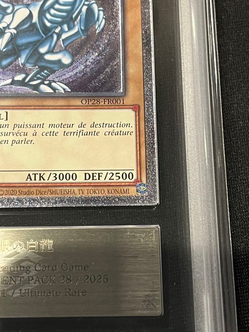 青眼の白龍　レリーフ　遊戯王　フランス語　ARS9