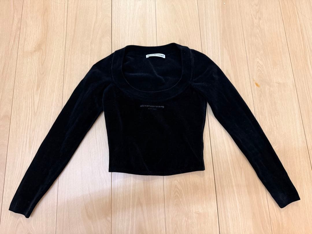 alexander Wang アレキサンダーワン ベロア　ショートトップス