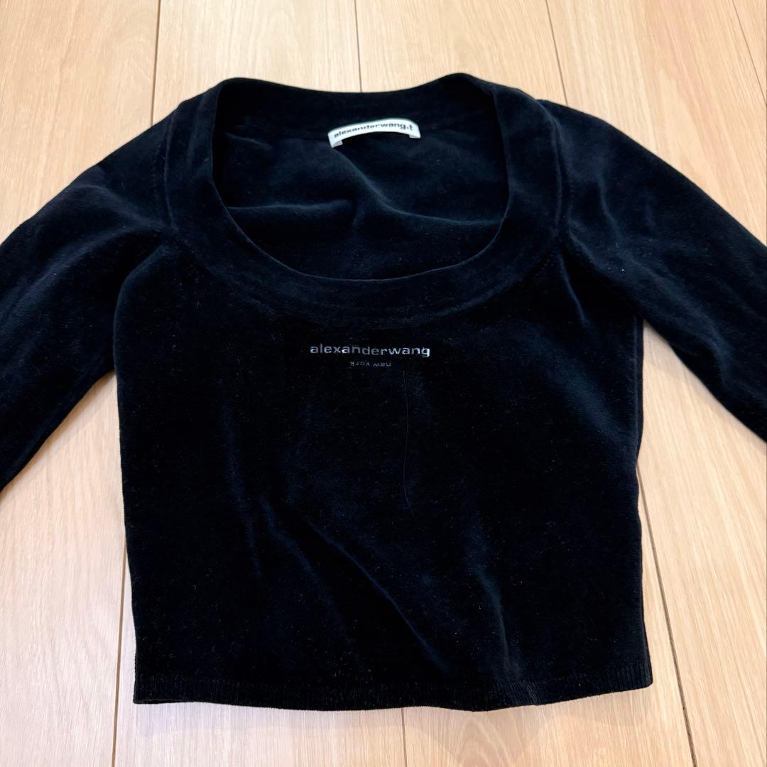 alexander Wang アレキサンダーワン ベロア　ショートトップス