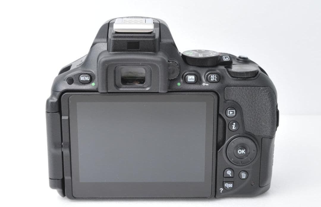 Nikon D5500 デジタル一眼レフ 本体とレンズセット