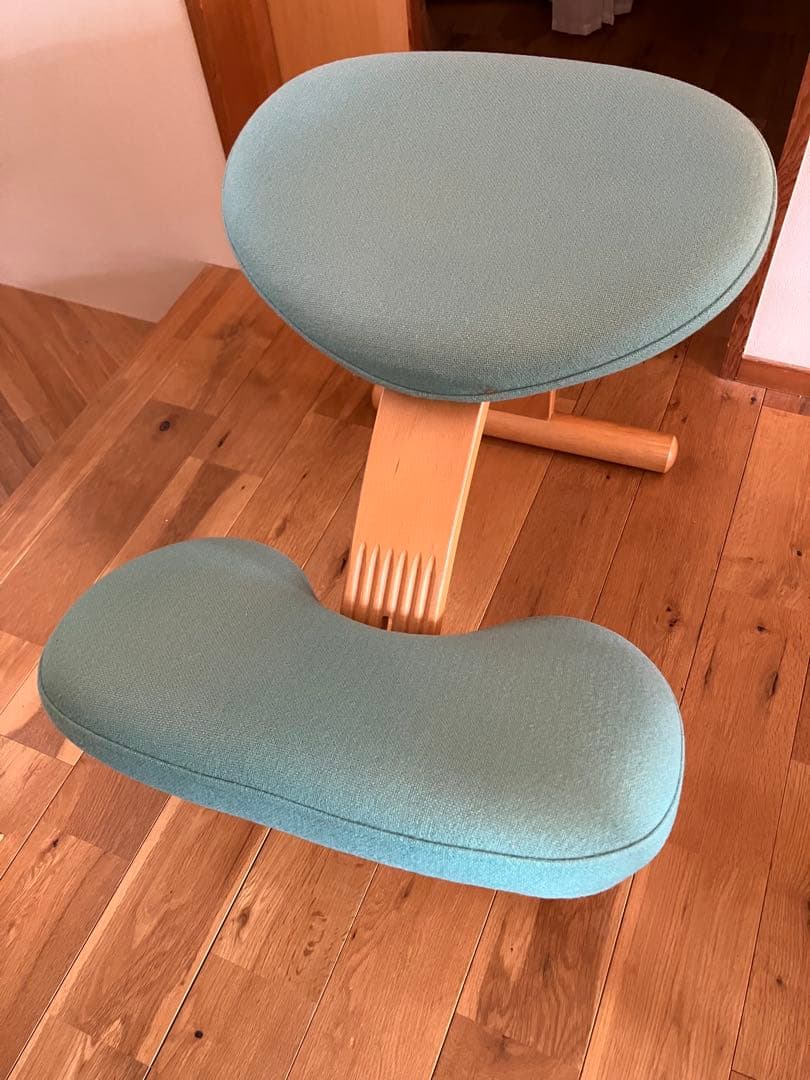 バランスラボ バランスイージー ライトグリーン　カバー付