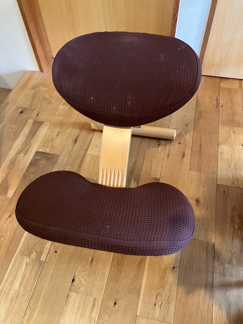 バランスラボ バランスイージー ライトグリーン　カバー付