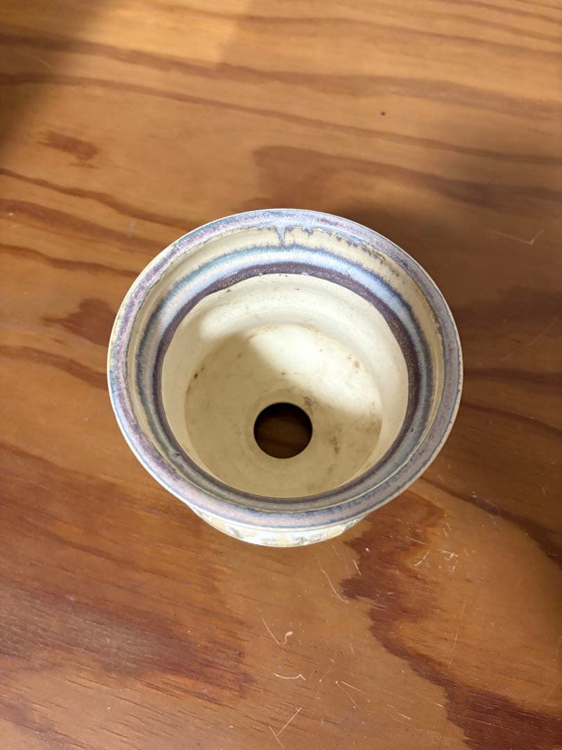 杉山 悠 植木鉢 2個セット