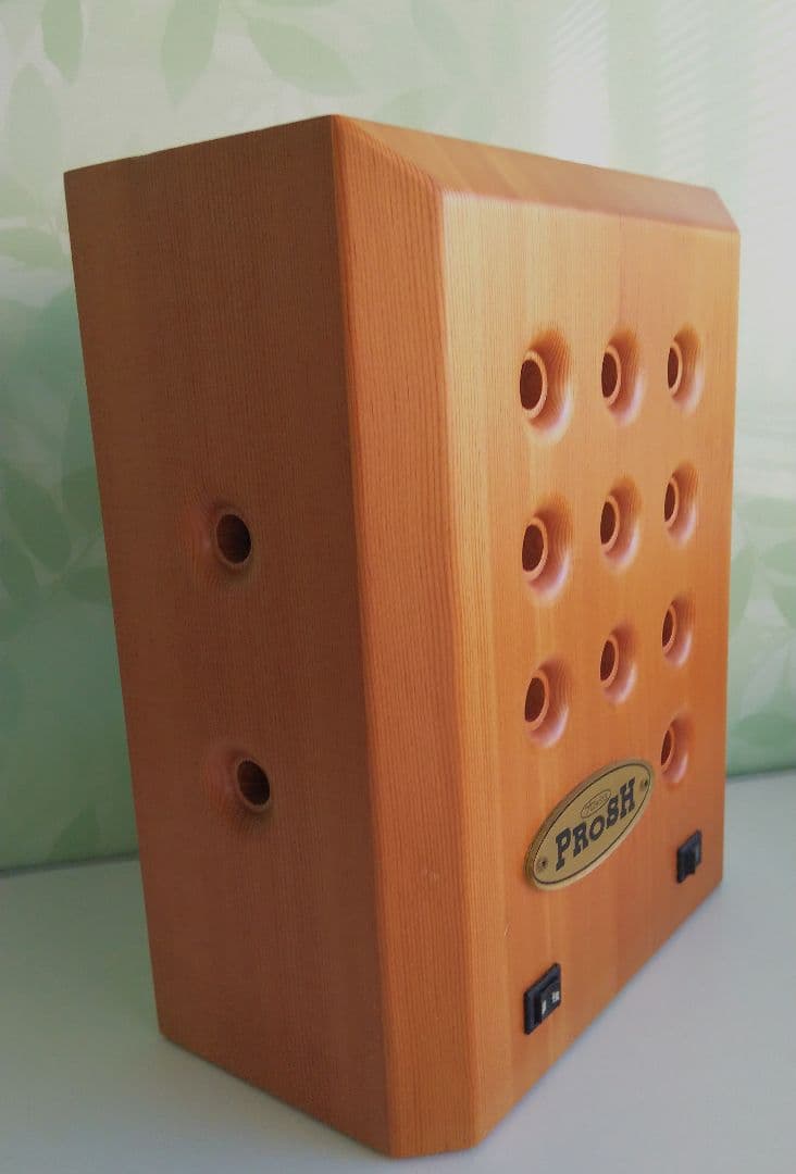 e-bless イーブレス 家一軒丸ごと マイナスイオン 空気清浄 プロッシュ