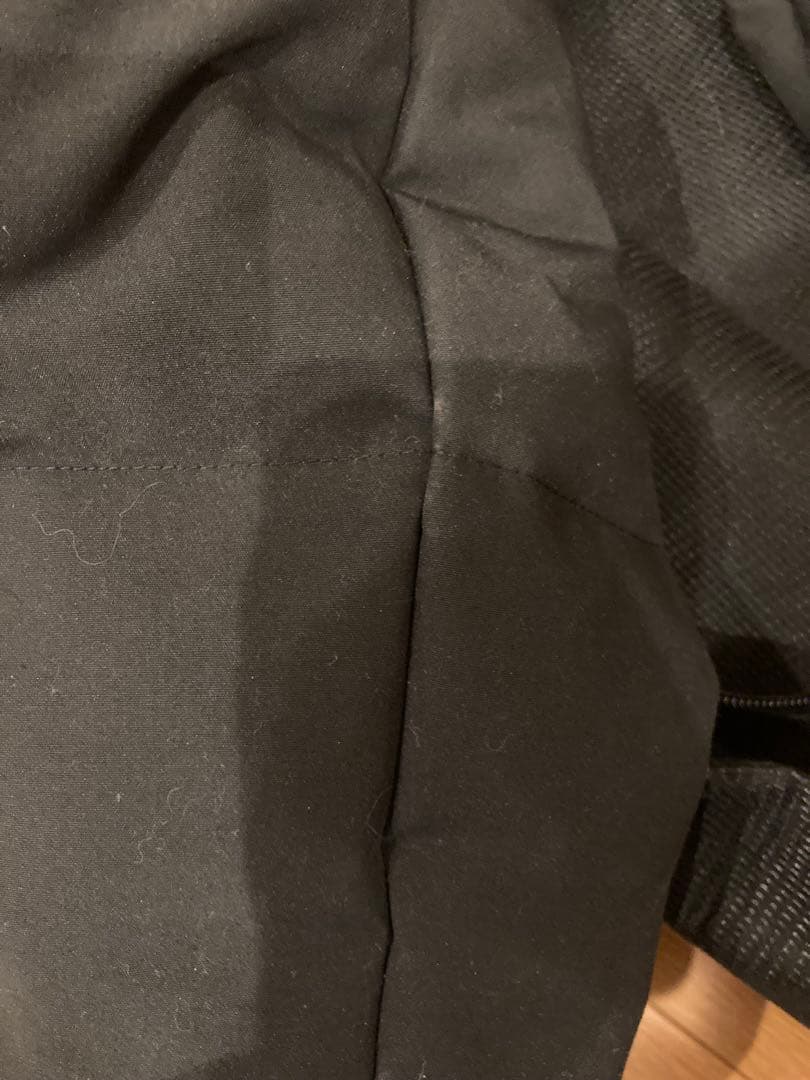 カナダグース　ミスティーク