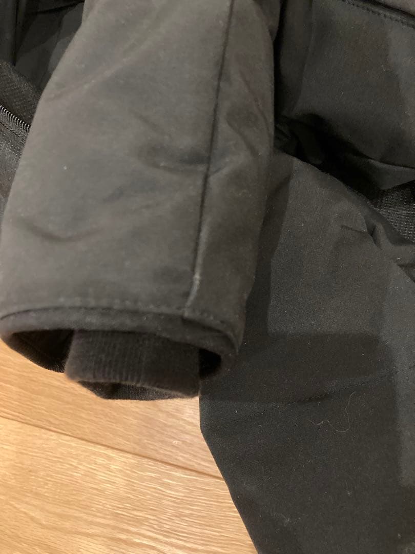 カナダグース　ミスティーク