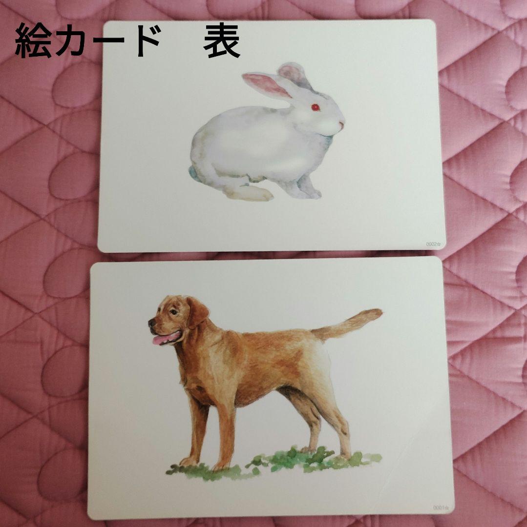 七田フラッシュカード かな絵ちゃん 6箱セット