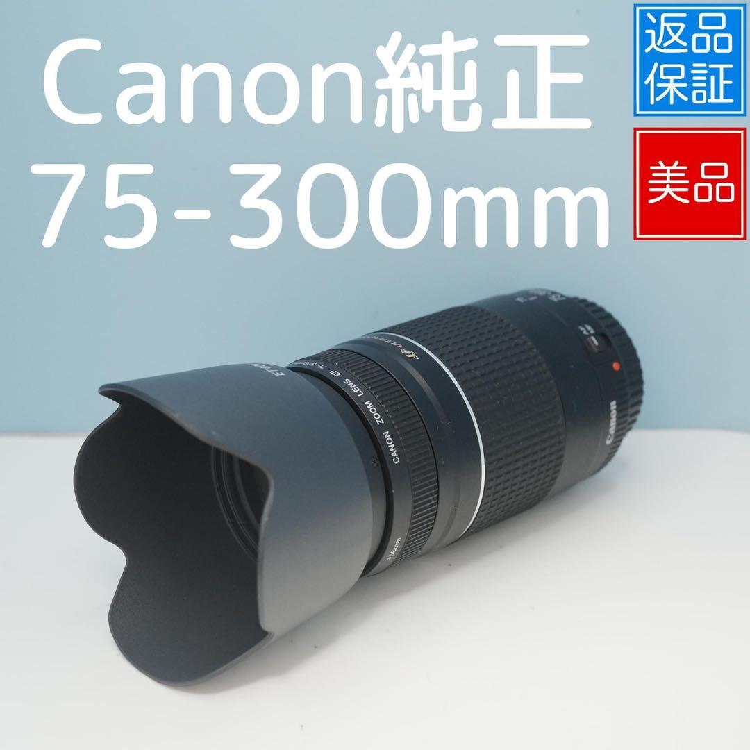 Canon純正 75-300mm 望遠レンズ 美品 a5046