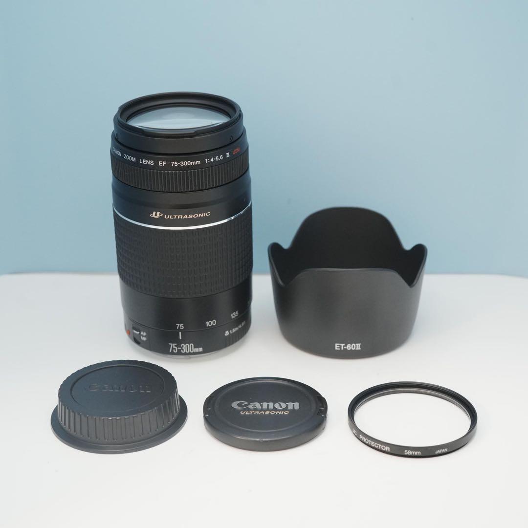 Canon純正 75-300mm 望遠レンズ 美品 a5046