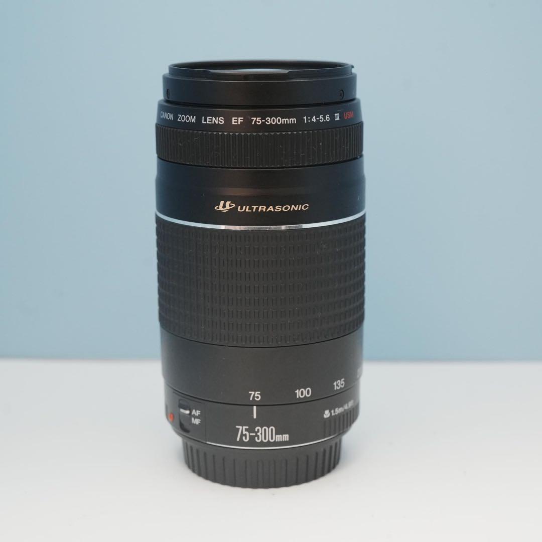 Canon純正 75-300mm 望遠レンズ 美品 a5046