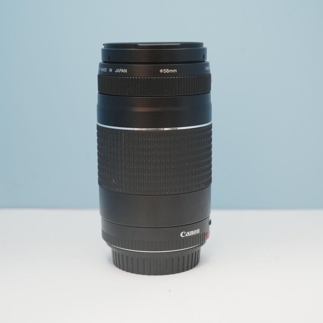 Canon純正 75-300mm 望遠レンズ 美品 a5046