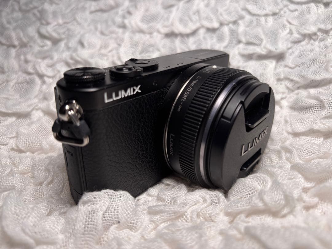 LUMIX DMC-GM1 本体 14mm F2.5 II 美品 レザーケース付