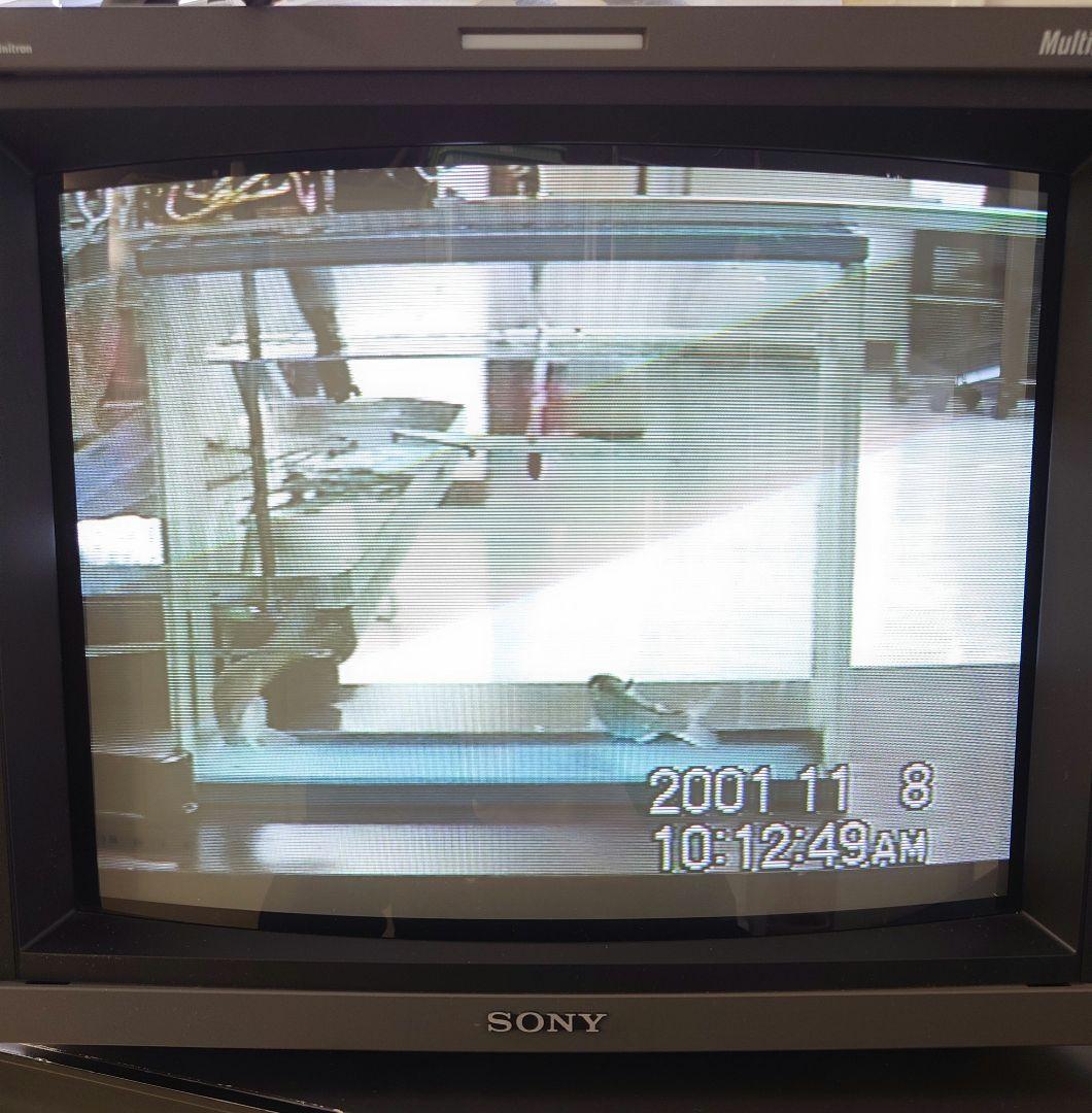 希少!!SONY トリニトロンビデオモニター PVM-D14L5J