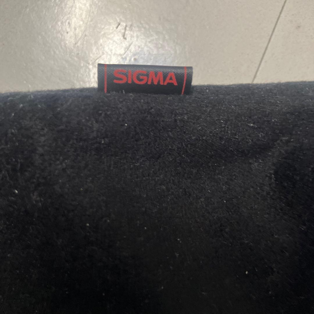 SIGMA dp1x 箱、備品付き　動作確認済み